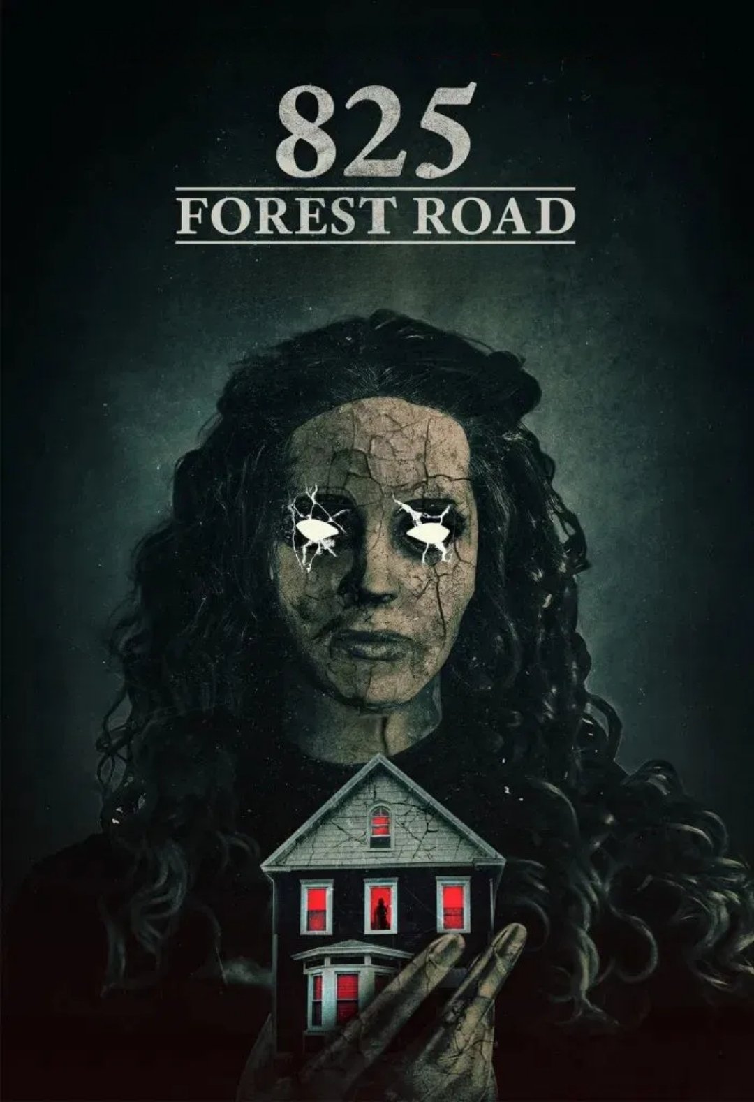 ดูหนัง 825 Forest Road (2025)