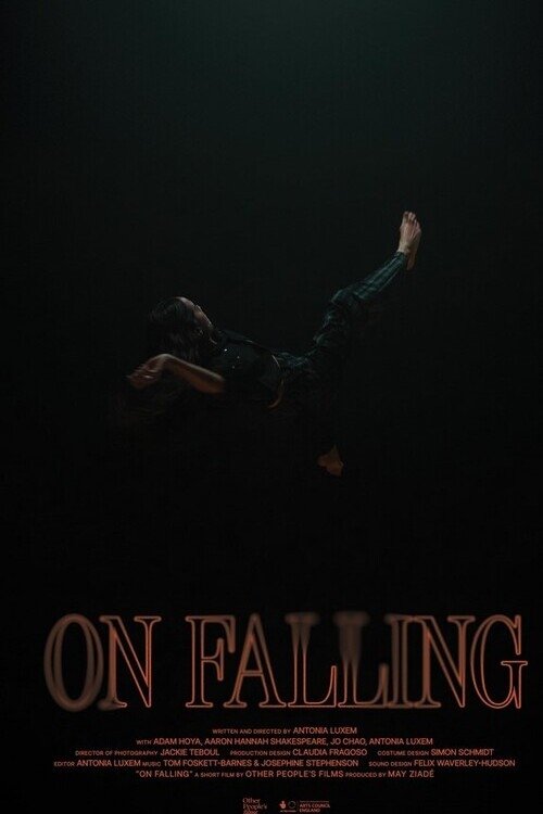 ดูหนัง On Falling (2024)