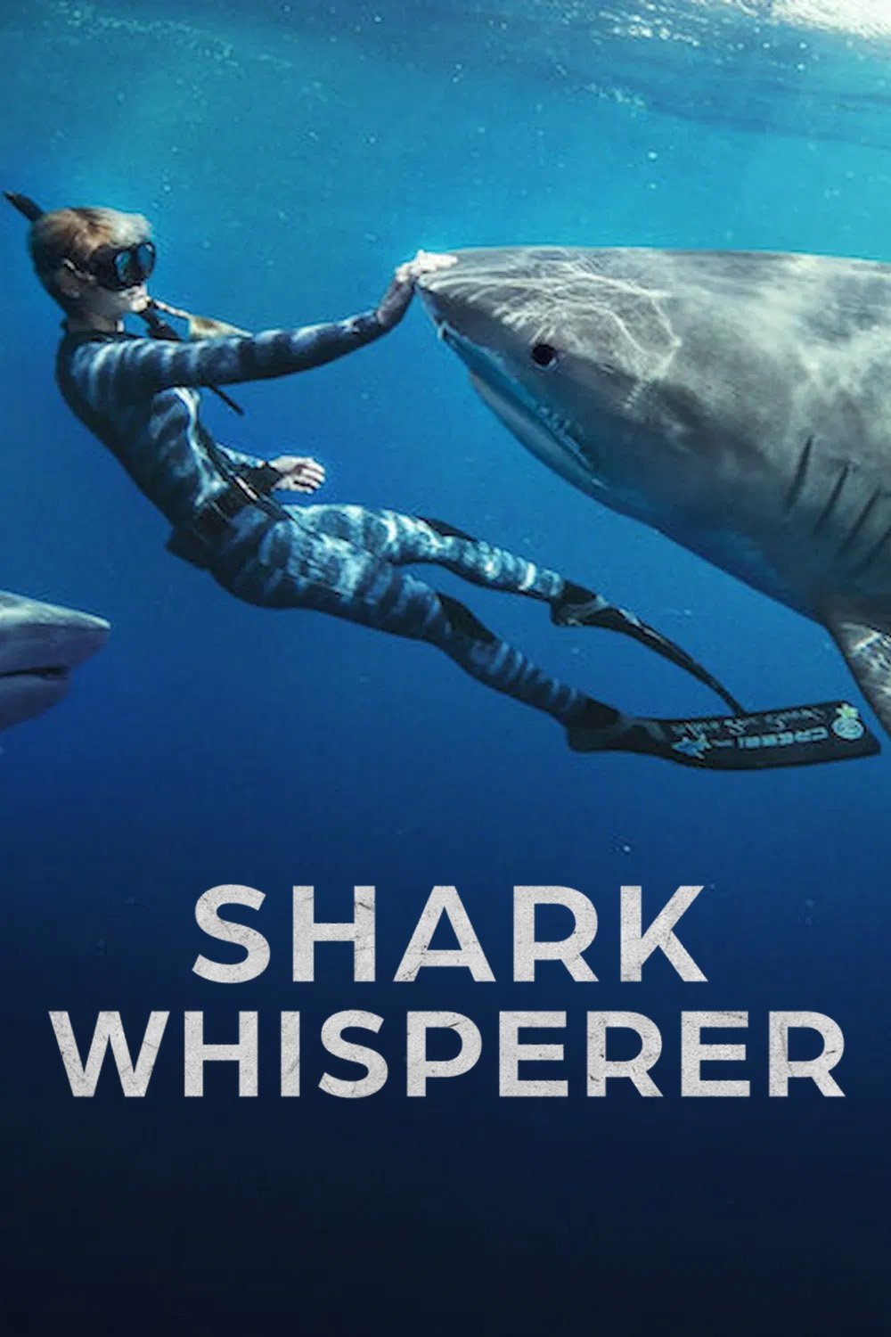 ดูหนัง Shark Whisperer (2025) คนรักษ์ฉลาม