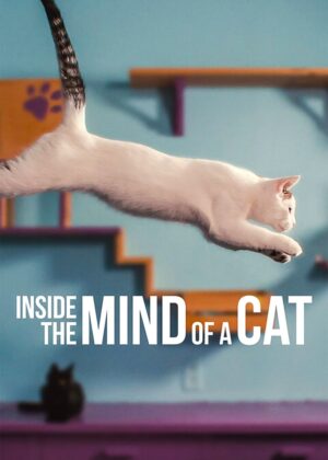 ดูหนัง Inside the Mind of a Cat (2022) คิดแบบแมวๆ
