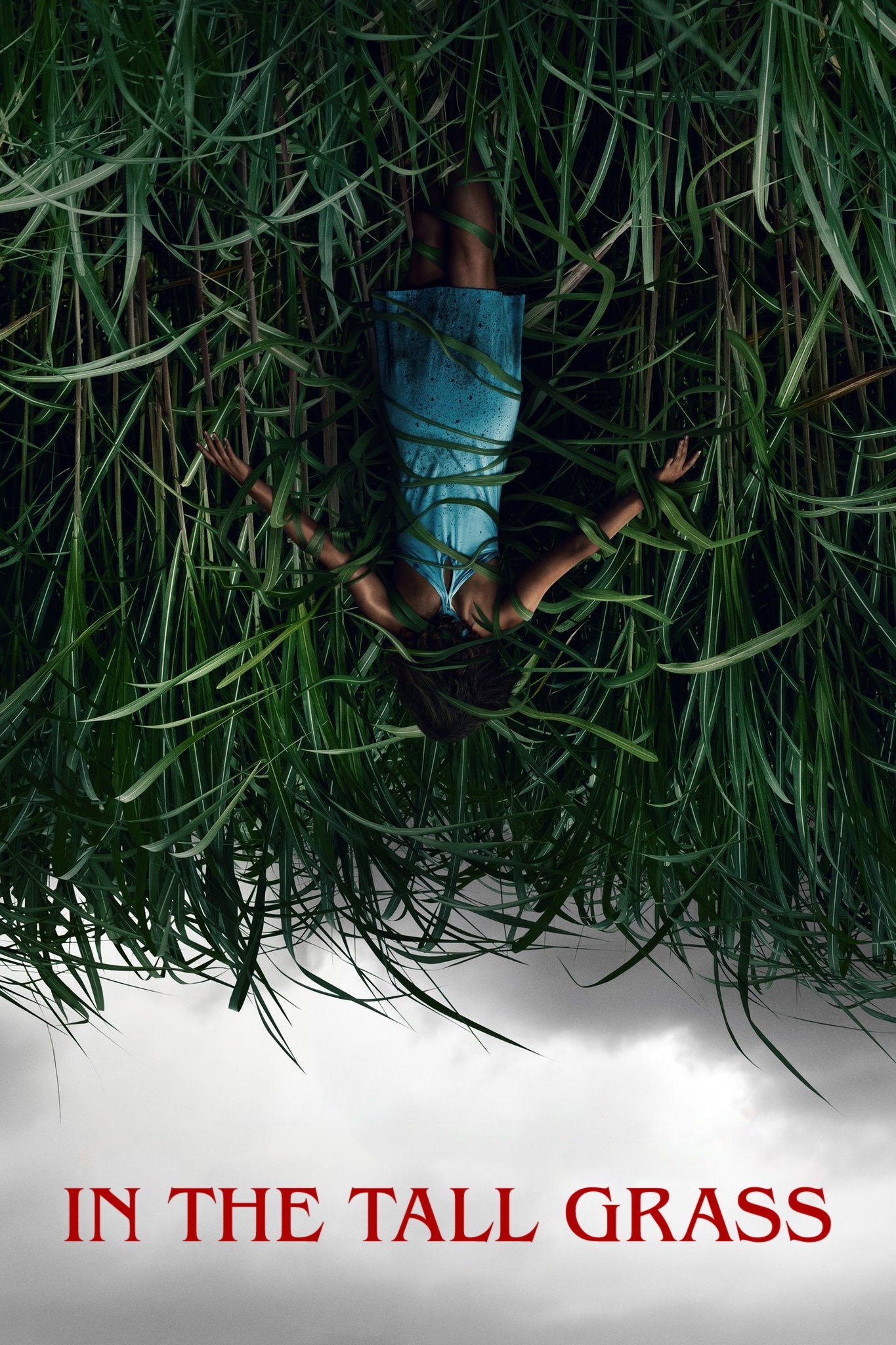 ดูหนัง In the Tall Grass (2019) พงหลอนมรณะ