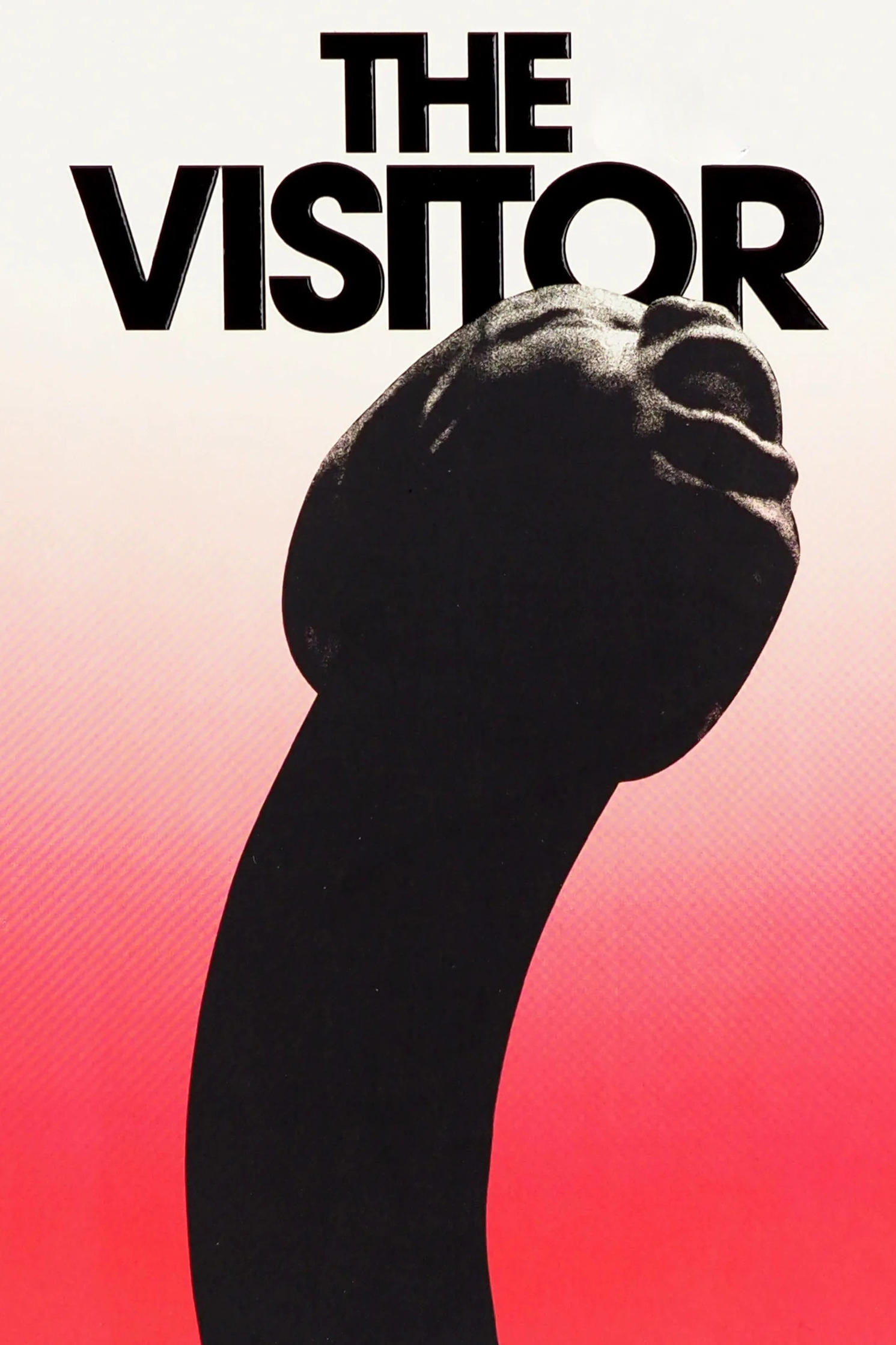 ดูหนัง The Visitor (2024)