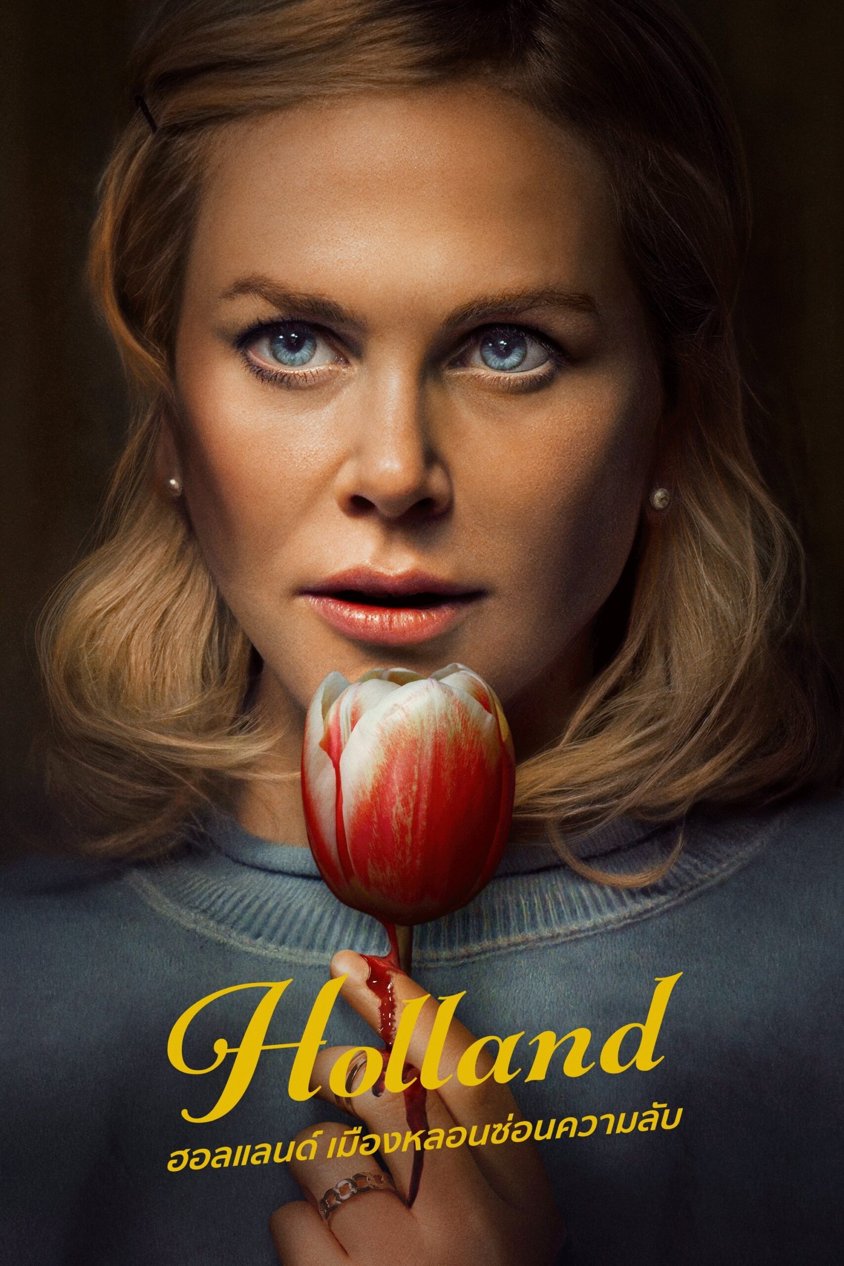 ดูหนัง Holland (2025) ฮอลแลนด์ เมืองหลอนซ่อนความลับ