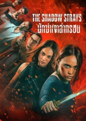 ดูหนัง The Shadow Strays (2024) นักฆ่าเงาล่าทรชน