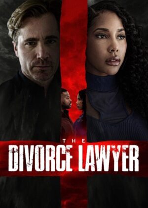 ดูหนัง The Divorce Lawyer (2025)