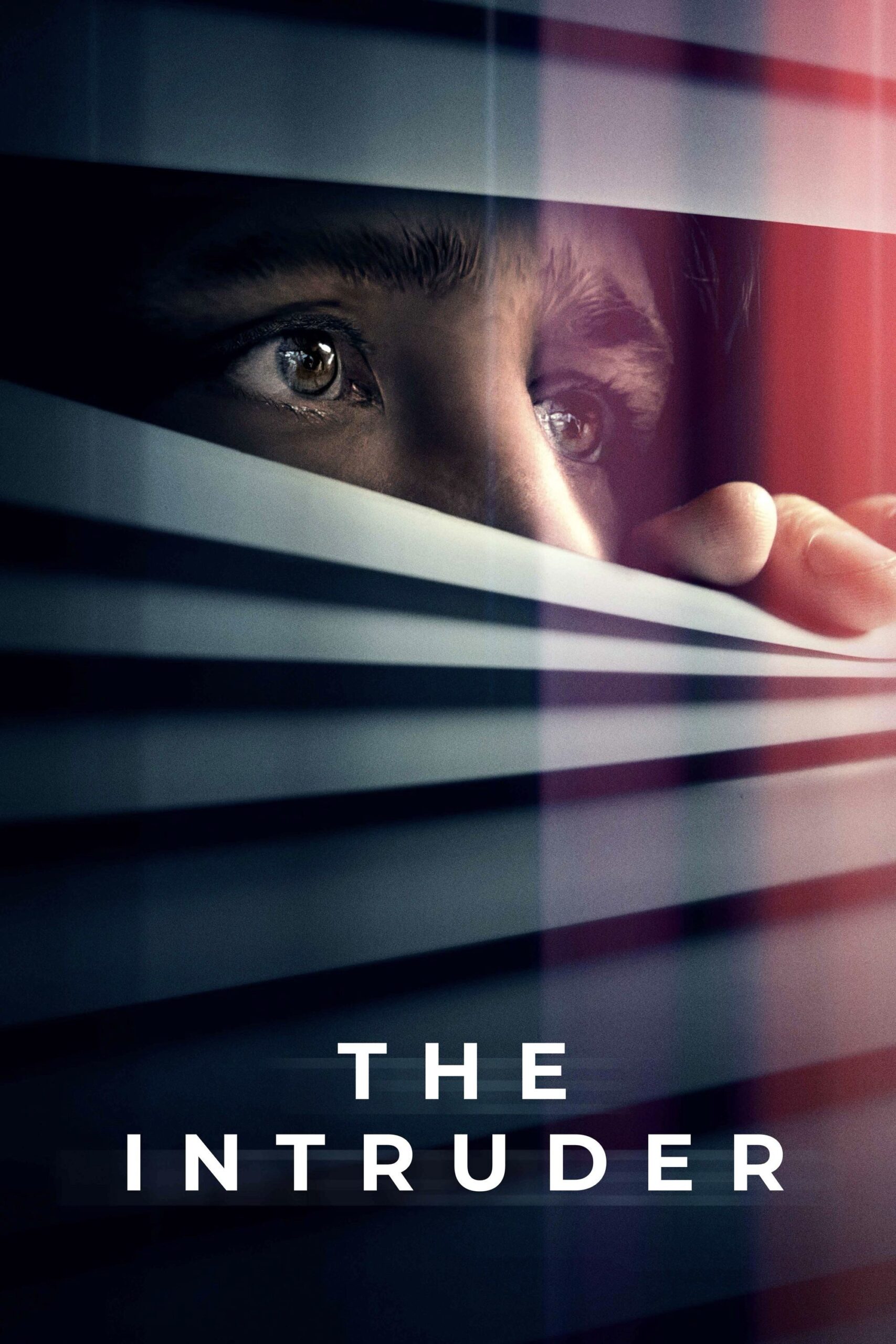 ดูหนัง The Intruder (2024)