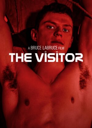 ดูหนัง The Visitor (2024)