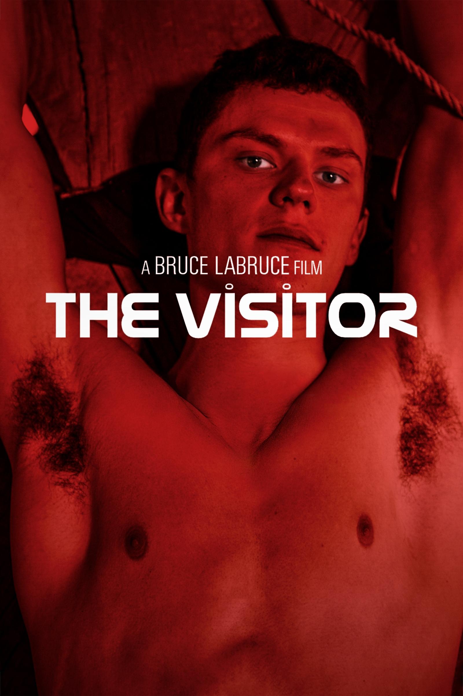 ดูหนัง The Visitor (2024)