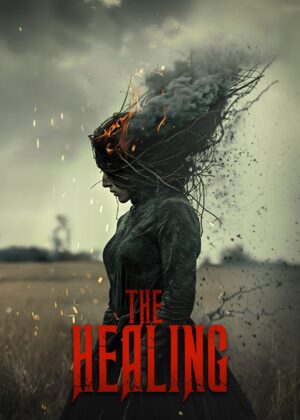 ดูหนัง The Healing (2025)