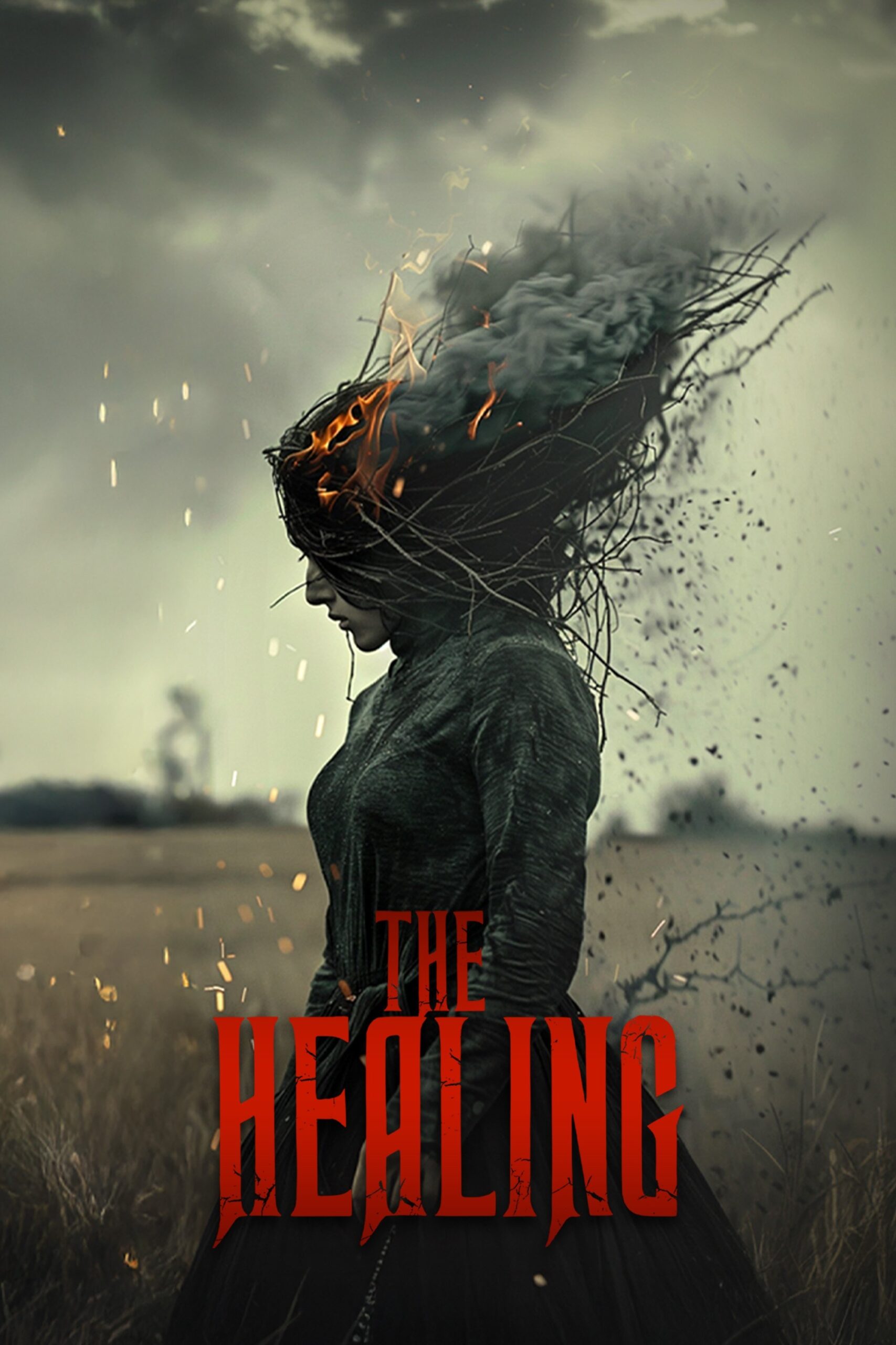 ดูหนัง The Healing (2025)