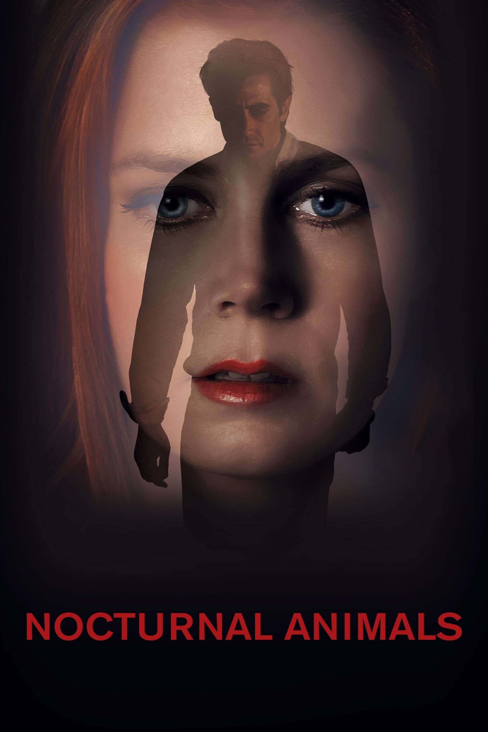 ดูหนัง Nocturnal Animals (2016) คืนทมิฬ