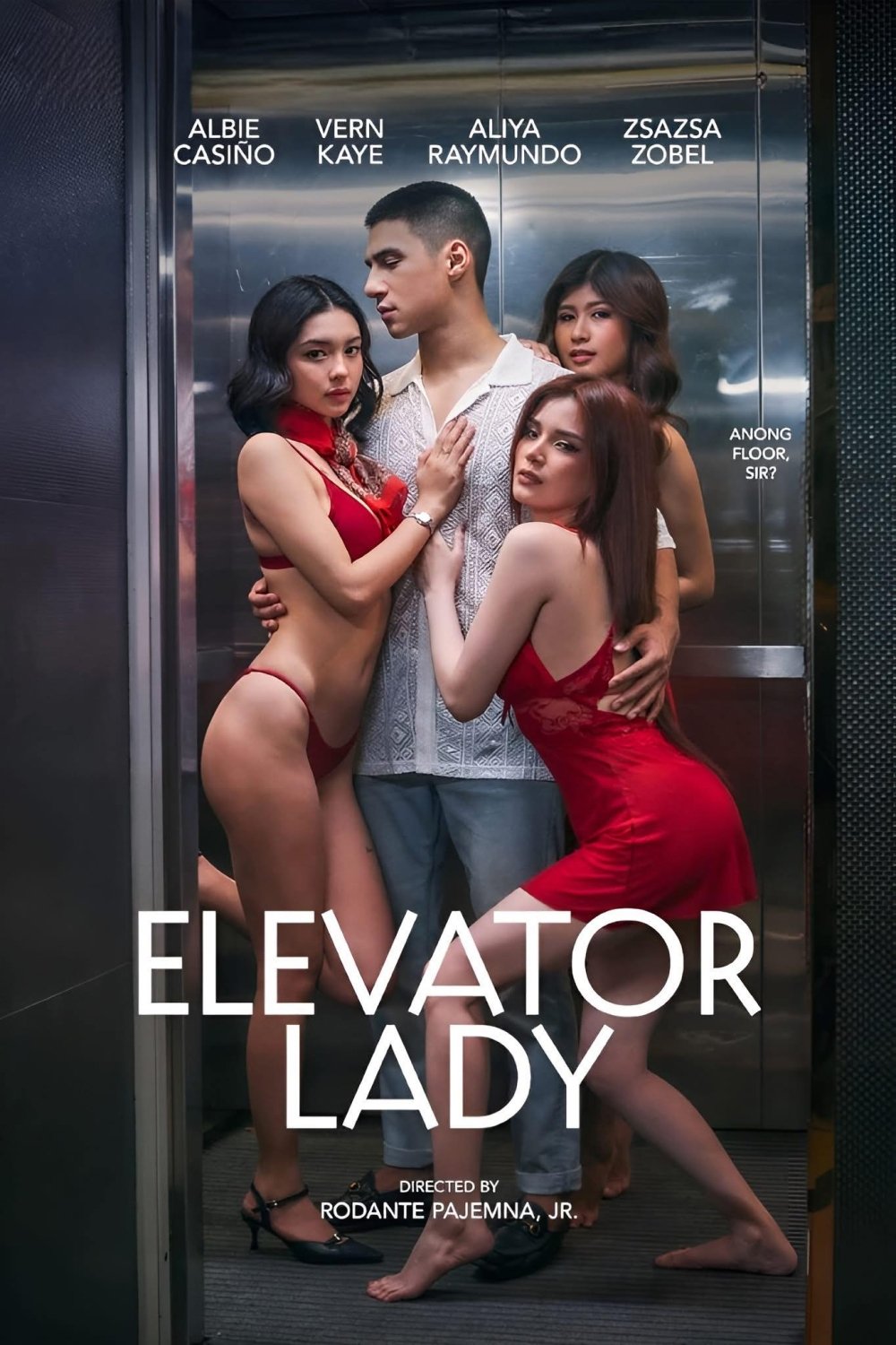 ดูหนัง Elevator Lady (2025)
