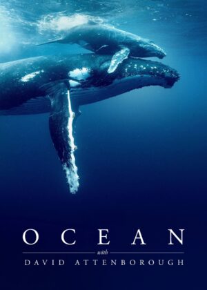 ดูหนัง Ocean with David Attenborough (2025)