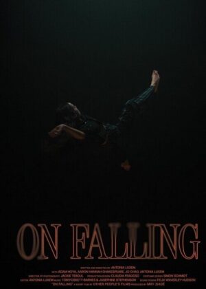ดูหนัง On Falling (2024)