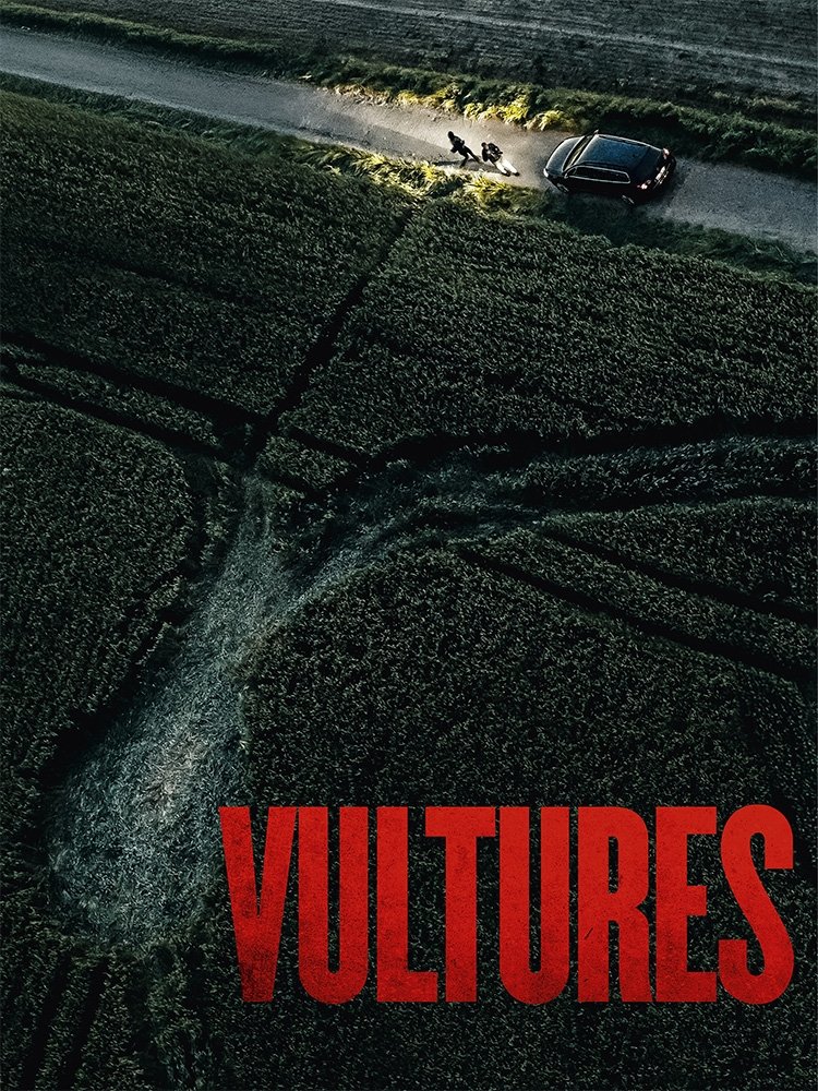ดูหนัง Vultures (2025)