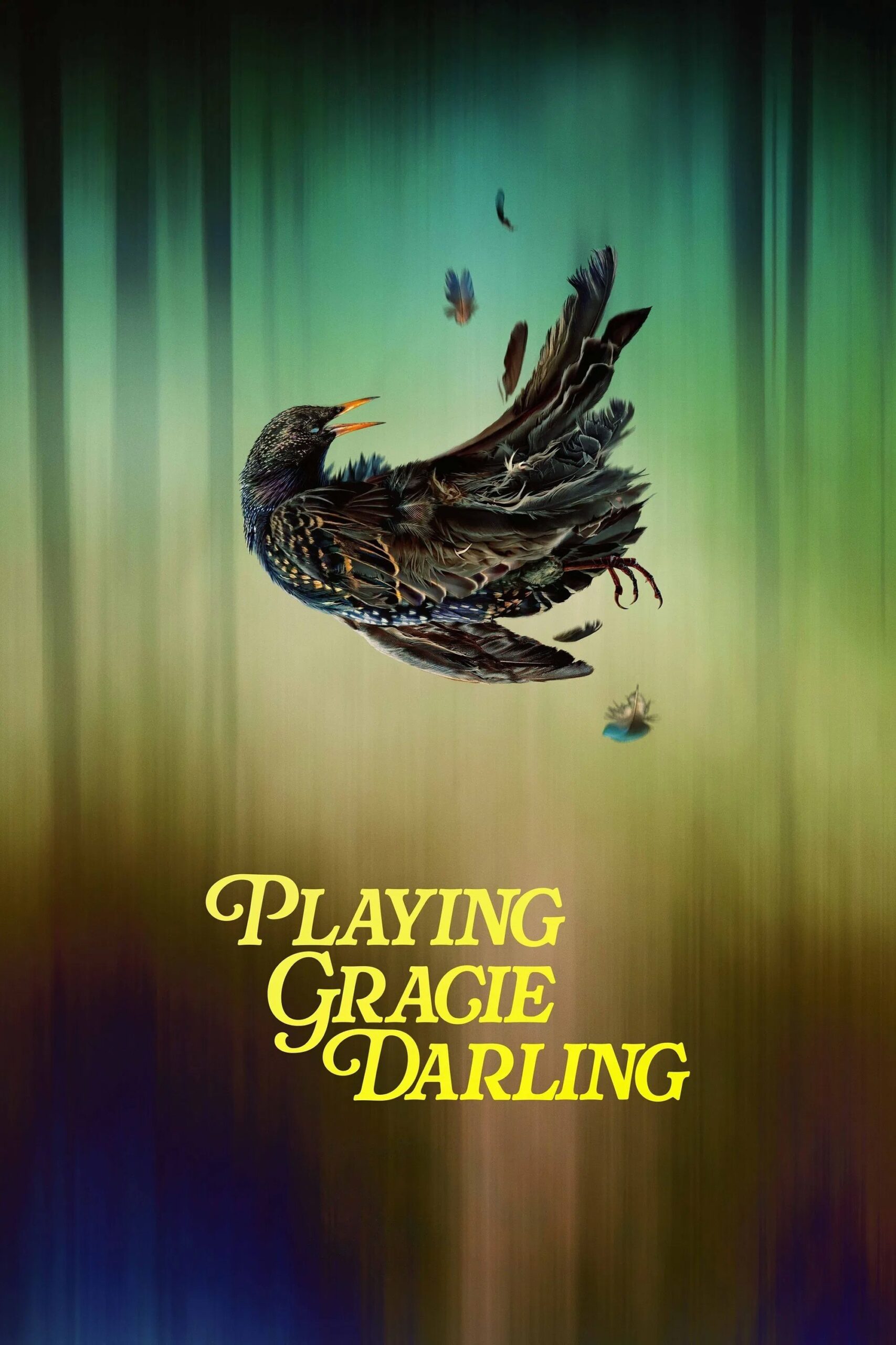 ดูหนัง Playing Gracie Darling (2025) เกมหลอน ลักพาตาย